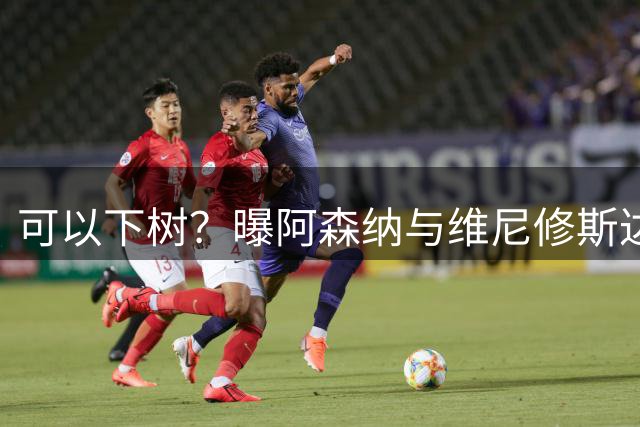 可以下树？曝阿森纳与维尼修斯达个人协议 将向皇马提报价