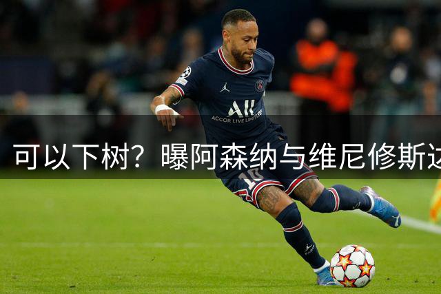 可以下树？曝阿森纳与维尼修斯达个人协议 将向皇马提报价