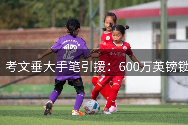 考文垂大手笔引援：600万英镑锁定荷兰中场哈默